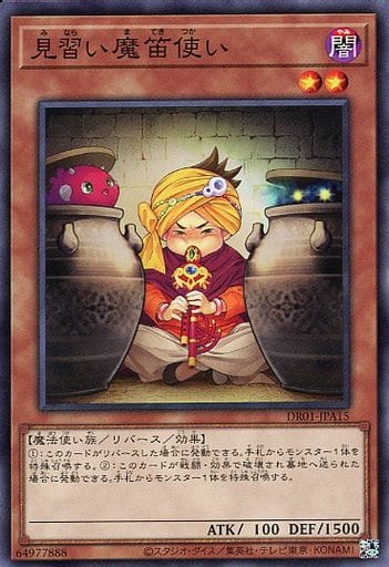 [N] DR01-JPA15 見習い魔笛使い