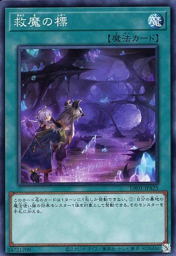 [N] DR01-JPA25 救魔の標