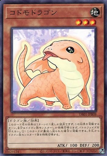 [N] DR01-JPB08 コドモドラゴン