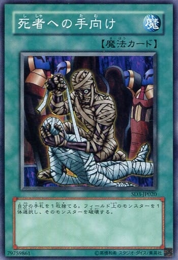 [N] SD3-JP020 死者への手向け