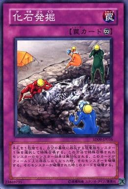 [N] SD09-JP036 化石発掘