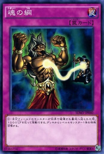 [N] SDMY-JP040 魂の綱