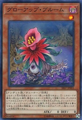 [SR] SR07-JP003 グローアップ・ブルーム