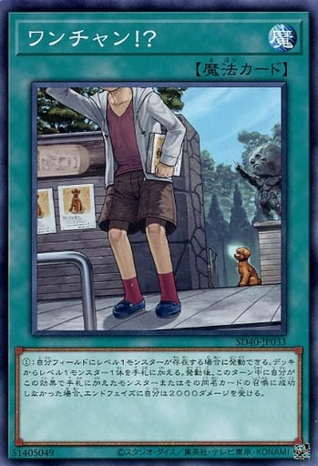 [N] SD40-JP033 ワンチャン！？