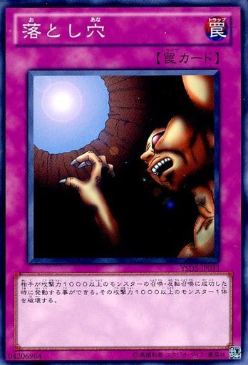 [N] YSD5-JP033 落とし穴