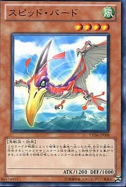 [N] YSD6-JP008 スピッド・バード
