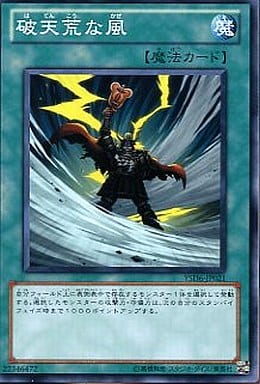 [N] YSD6-JP021 破天荒な風