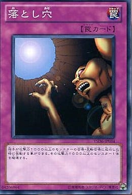 [N] YSD6-JP034 落とし穴