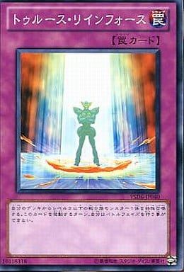 [N] YSD6-JP040 トゥルース・リインフォース