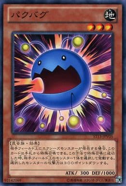 [N] ST13-JPV05 パクバグ