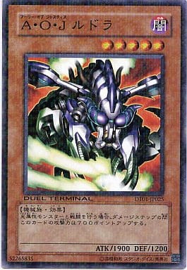 [N] DT01-JP025 A・O・J ルドラ