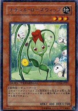 [R] DT04-JP021 ナチュル・ローズウィップ