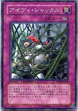 [N] DT04-JP048 アイヴィ・シャックル