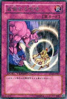 [R] DT05-JP047 威嚇する咆哮