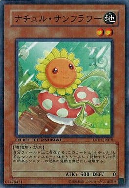 [N] DT05-JP018 ナチュル・サンフラワー