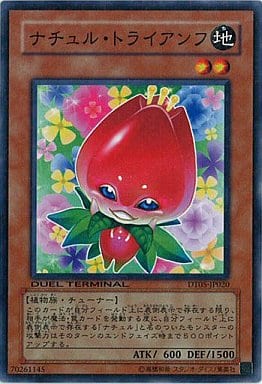 [N] DT05-JP020 ナチュル・トライアンフ