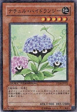 [N] DT06-JP022 ナチュル・ハイドランジー