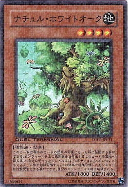 [SR] DT08-JP031 ナチュル・ホワイトオーク