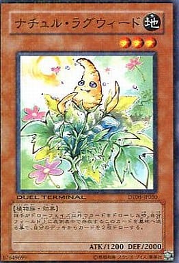 [N] DT08-JP030 ナチュル・ラグウィード