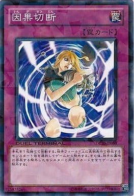 [N] DT10-JP050 因果切断