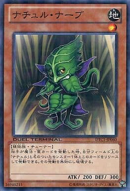 [N] DTC1-JP060 ナチュル・ナーブ
