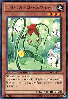 [R] DTC2-JP011 ナチュル・ローズウィップ