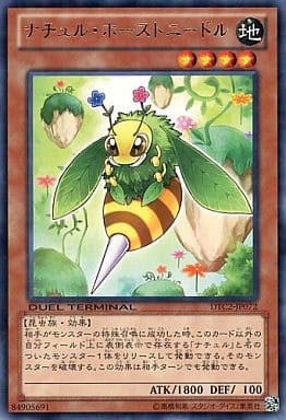 [R] DTC2-JP072 ナチュル・ホーストニードル