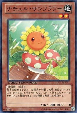 [N] DTC2-JP041 ナチュル・サンフラワー