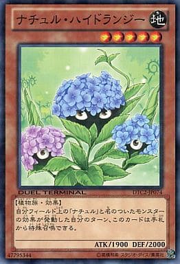 [N] DTC2-JP074 ナチュル・ハイドランジー