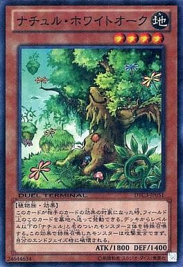 [SR] DTC3-JP051 ナチュル・ホワイトオーク