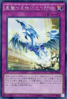 [SE] PP17-JP020 星墜つる地に立つ閃こう