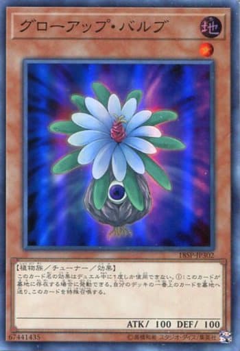 [SR] 18SP-JP302 グローアップ・バルブ