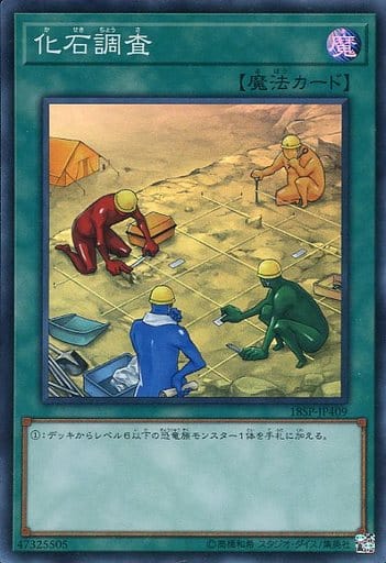 [SR] 18SP-JP409 化石調査