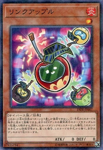 [P-N] 19PR-JP007 リンクアップル