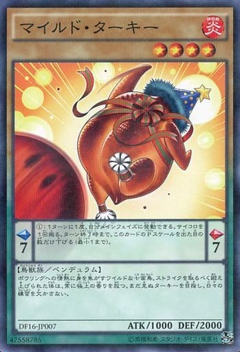 [P-N] DF16-JP007 マイルド・ターキー