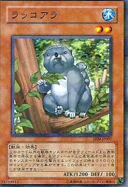 [P-N] JF09-JP007 ラッコアラ