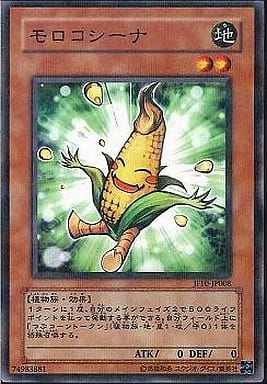 [P-N] JF10-JP008 モロコシーナ