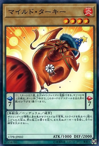 [N] 17PR-JP002 マイルド・ターキー