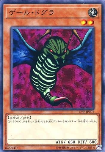 [N] 17SP-JP001 ゲール・ドグラ