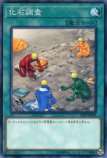 [N] 18SP-JP409 化石調査
