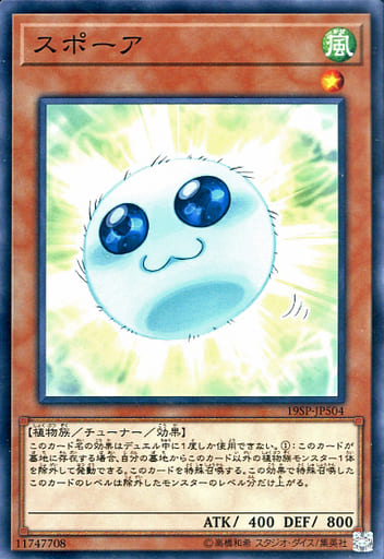 [N] 19SP-JP504 スポーア