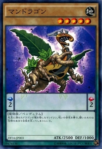 [N] DF16-JP003 マンドラゴン