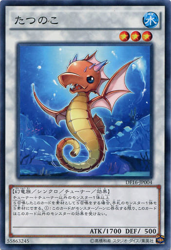 [N] DF16-JP004 たつのこ