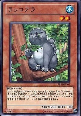 [N] PR01-JP002 ラッコアラ