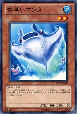 [N] PR02-JP009 素早いマンタ