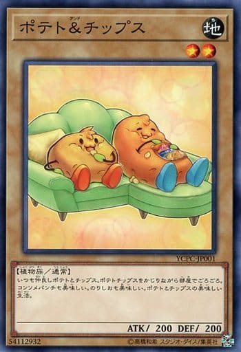 [N] YCPC-JP001 ポテト＆チップス