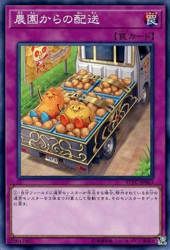 [N] YCPC-JP003 農園からの配送