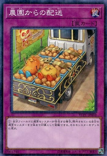[M] YCPC-JP003 農園からの配送