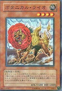[P-N] TP02-JP002 ボタニカル・ライオ