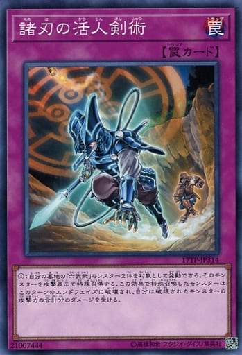 [N] 17TP-JP314 諸刃の活人剣術